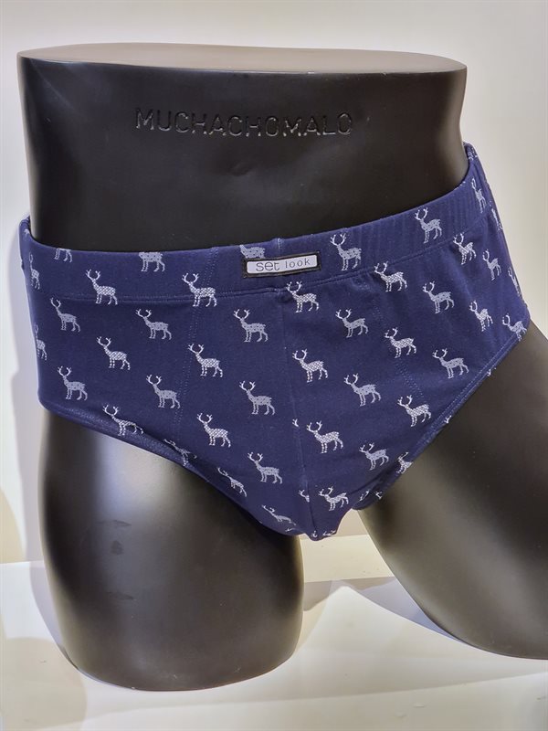 SET BRIEF BLUE DEER