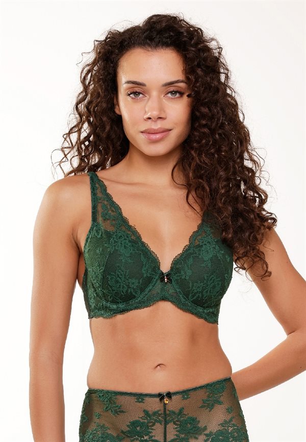 LINGADORE DAILY TRIANGEL BH