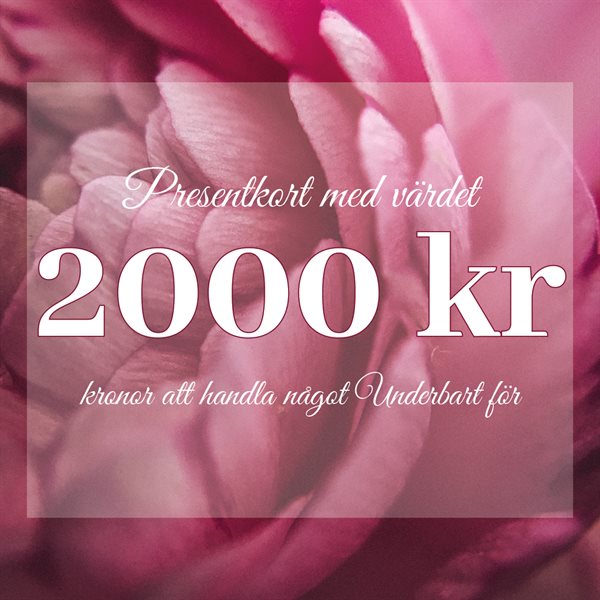 PRESENTKORT 2000:-