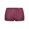 AVET  BOXER WINE 