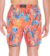 ZEYBRA-BEACH SHORTS-CORALLI