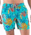 ZEYBRA-BEACH SHORTS-CORALLI